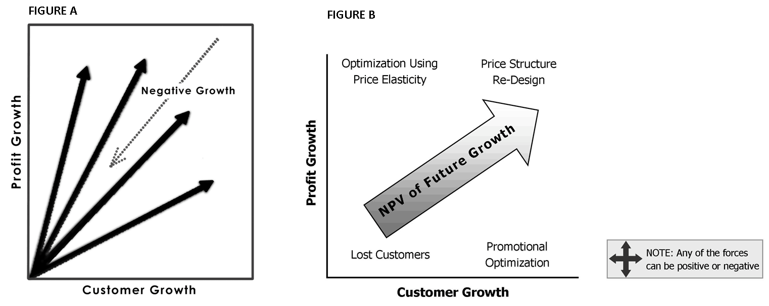 GrowthOvertime_NPV of Growth