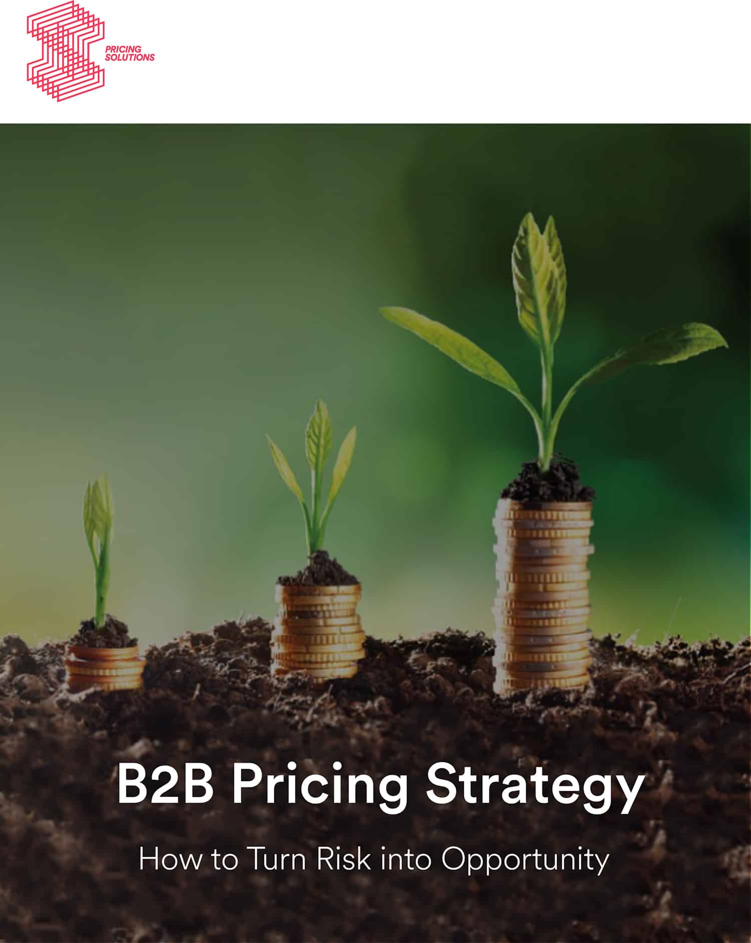 Pricing White Paper: Improving B2B Pricing Strategy