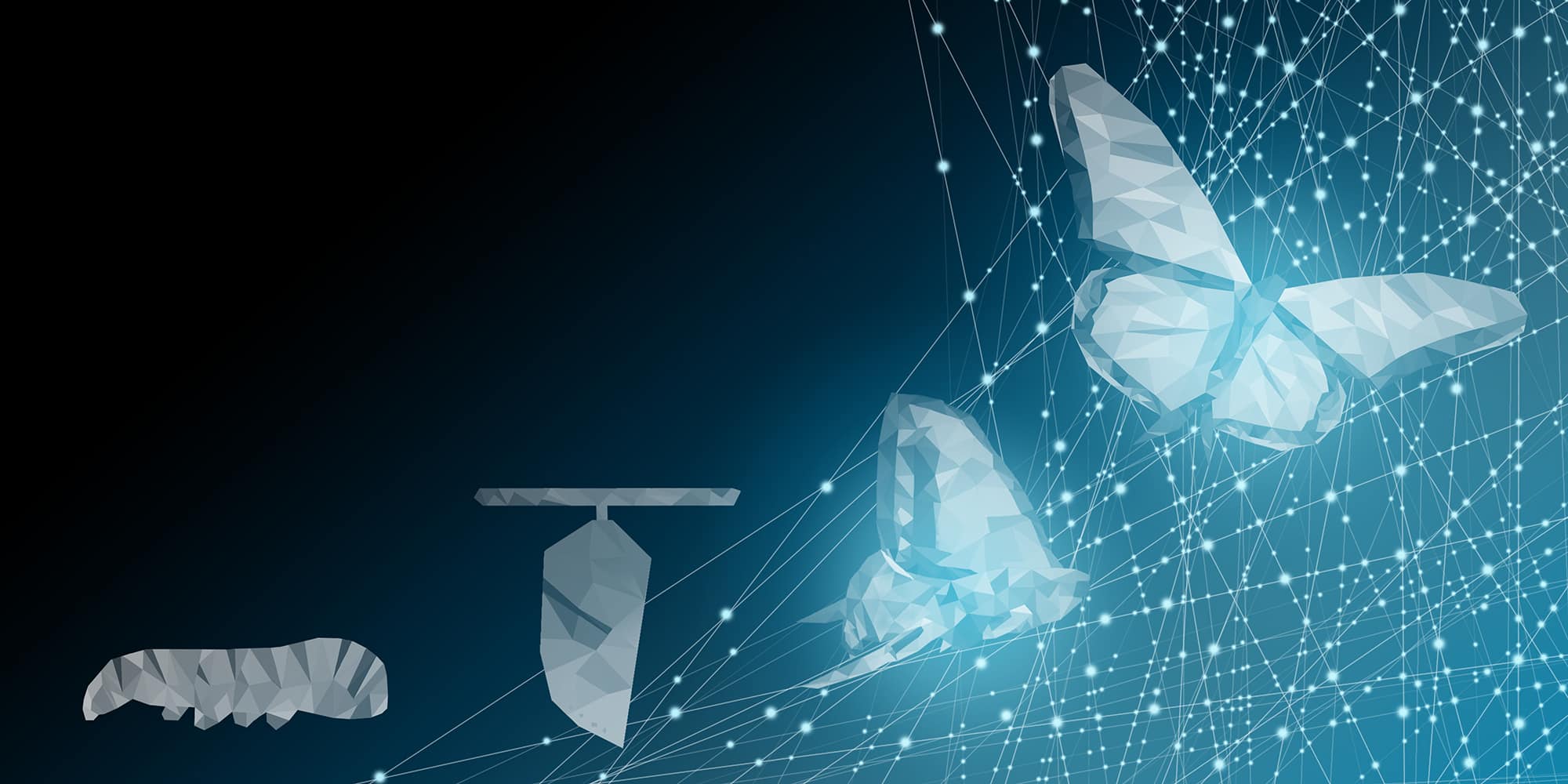The Pricing Transformation and Revenue Management Journey from Iris Pricing Solutions