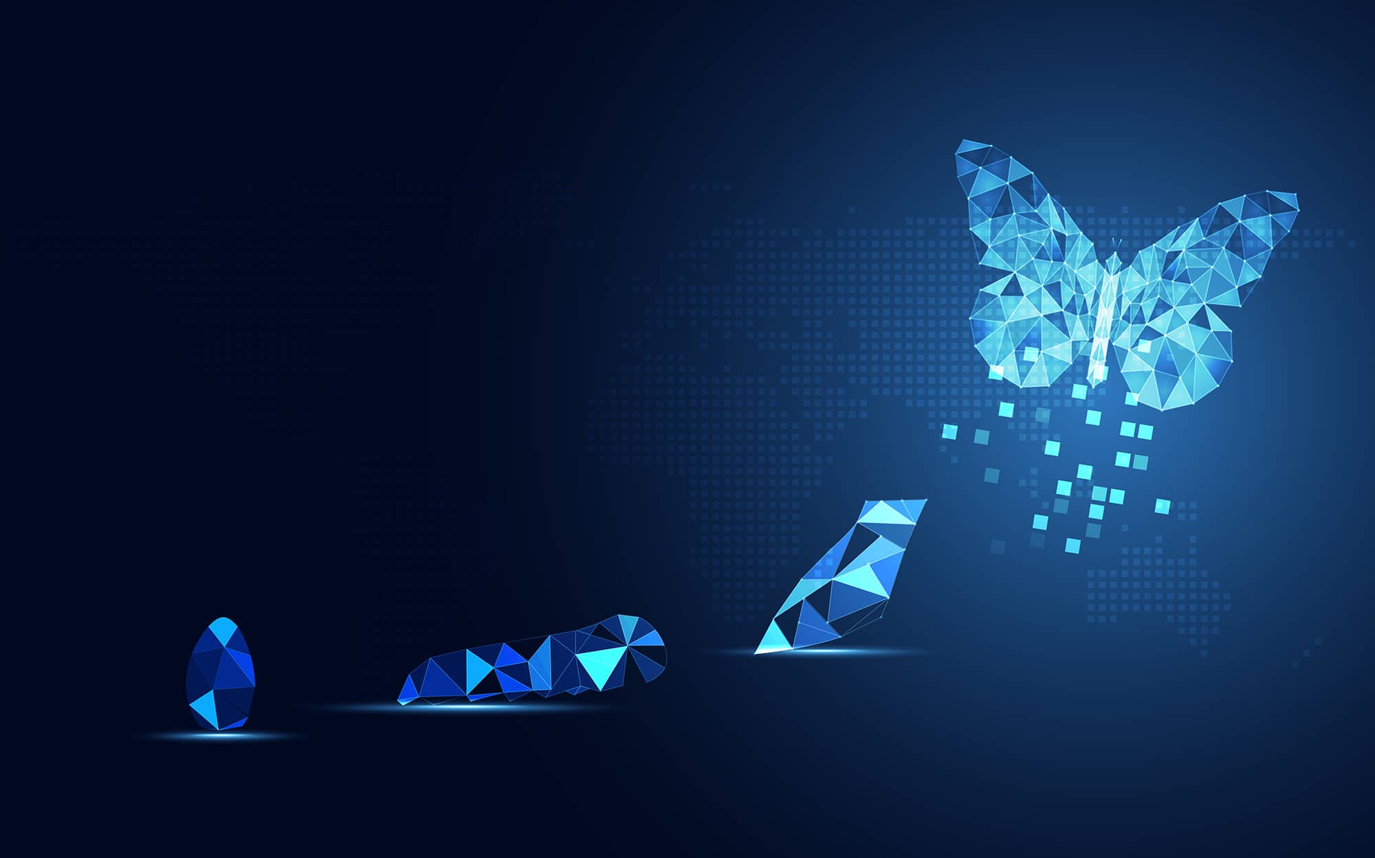The Pricing Transformation Journey: Iris Pricing Solutions